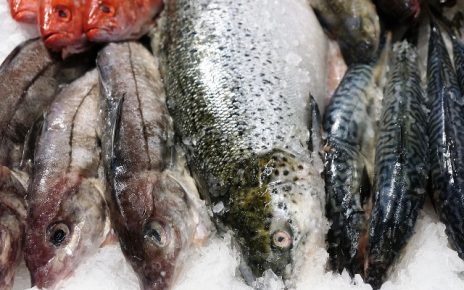 Portugueses comem mais peixe do que a média da UE